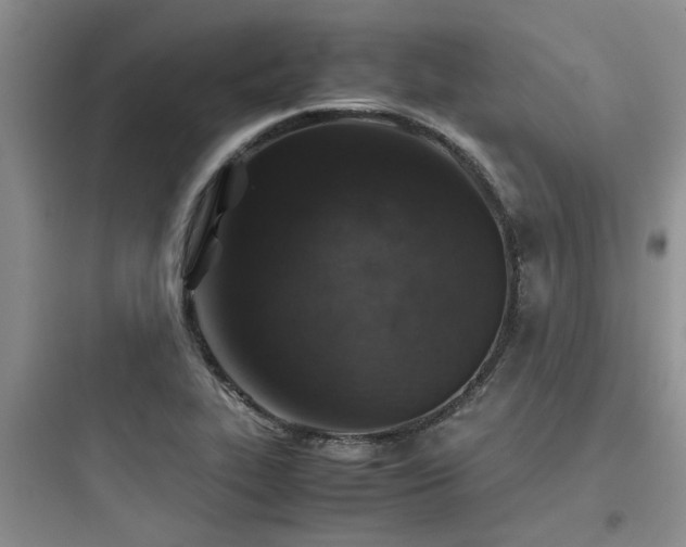 X0000097901319200803211432