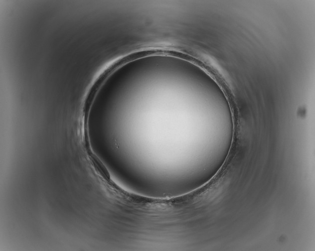 X0000097901320200803211432