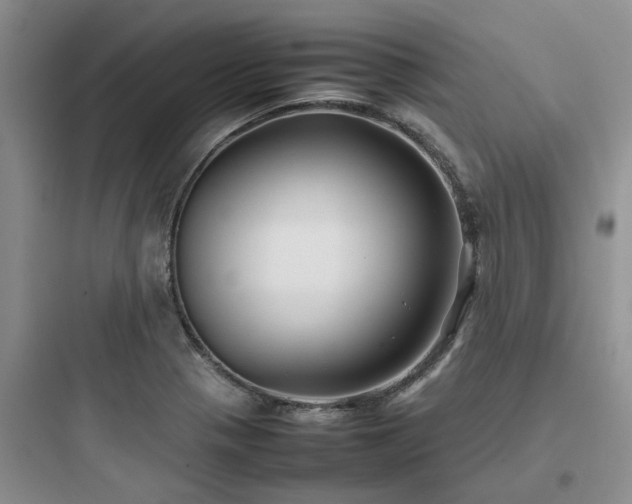 X0000097901321200803211432