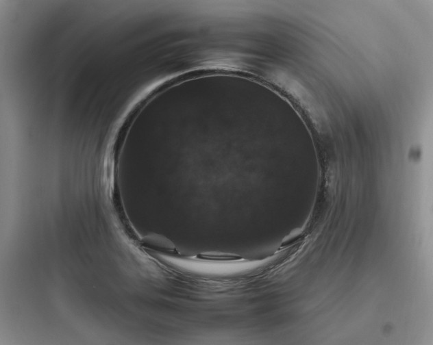 X0000097901323200803211432