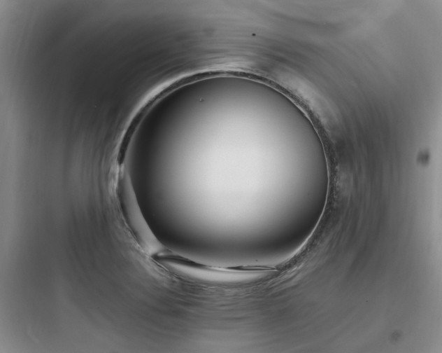X0000097901324200803211432