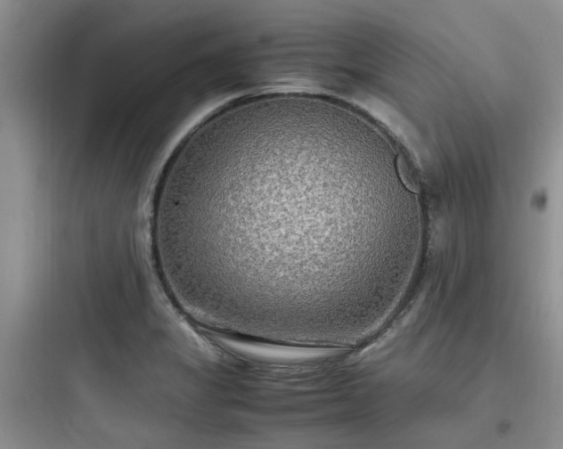 X0000097901325200803211432