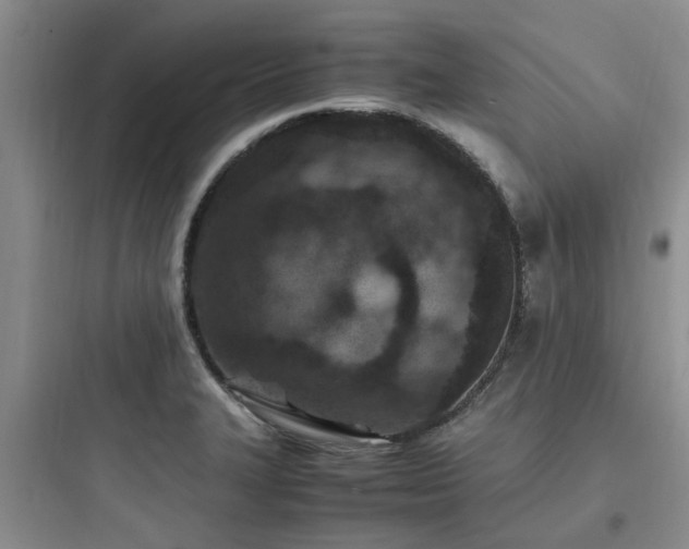 X0000097901327200803211432