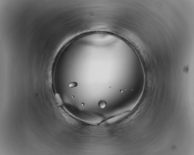 X0000097901328200803211432