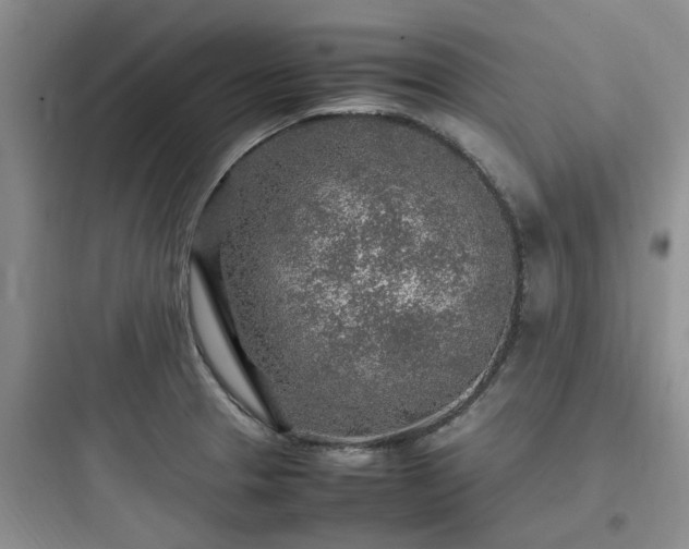 X0000097901329200803211432