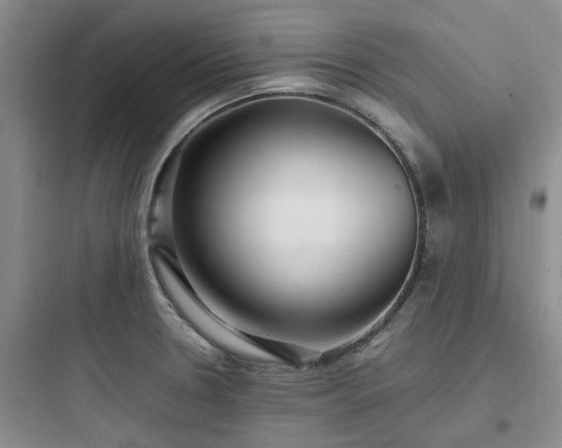 X0000097901330200803211432