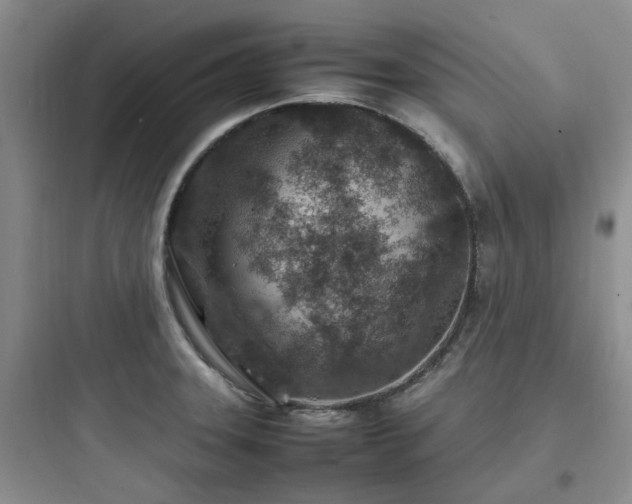 X0000097901331200803211432