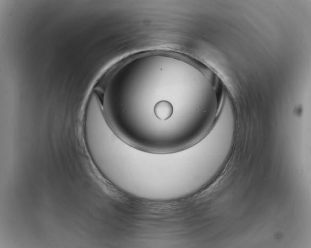 X0000097901332200803211432