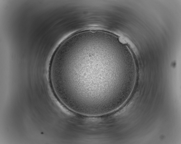 X0000097901333200803211432