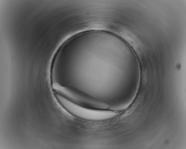 X0000097901334200803211432