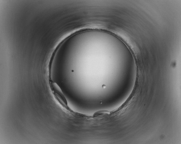 X0000097901335200803211432