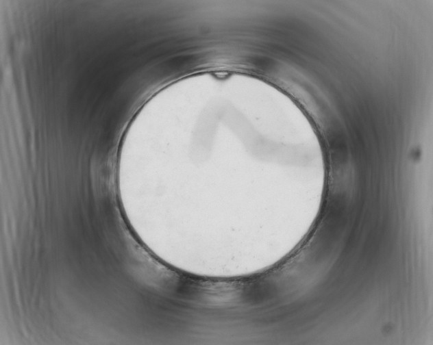 X0000097901338200803211432