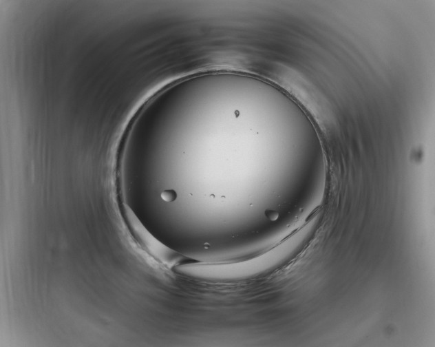 X0000097901339200803211432