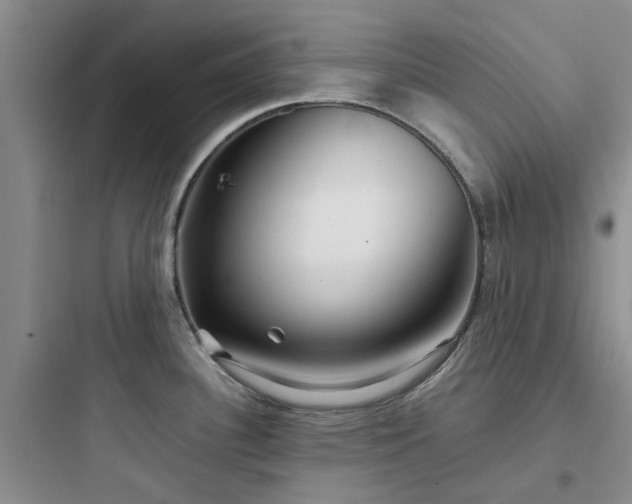 X0000097901340200803211432