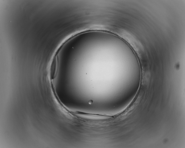 X0000097901342200803211432