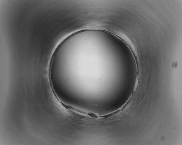 X0000097901344200803211432