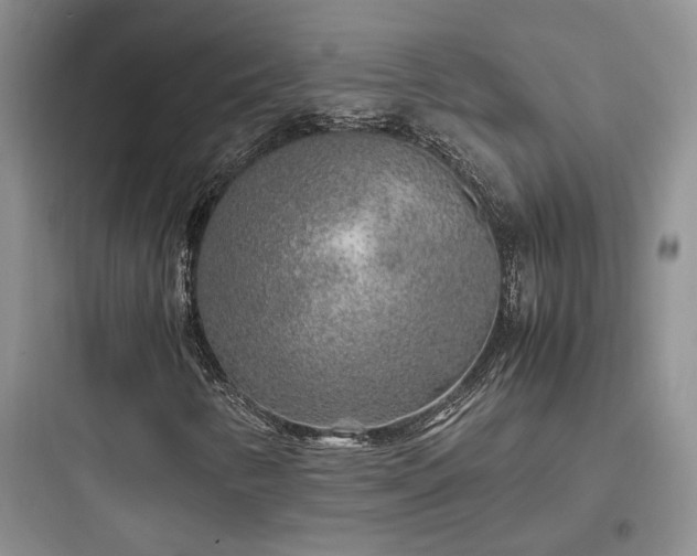 X0000097901346200803211432