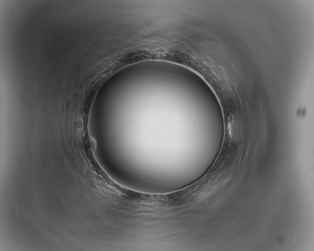 X0000097901347200803211432