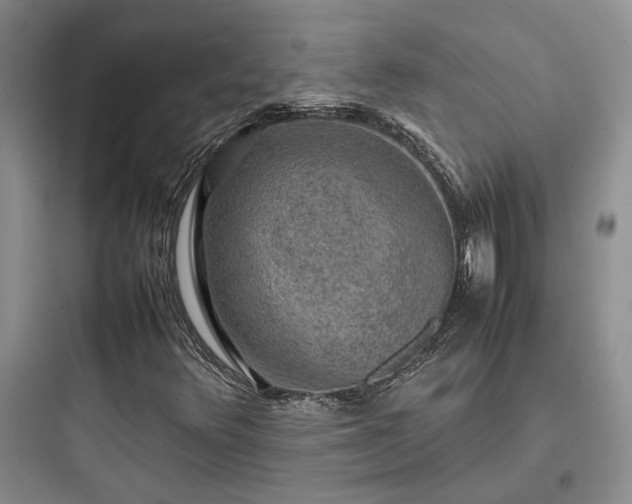 X0000097901348200803211432