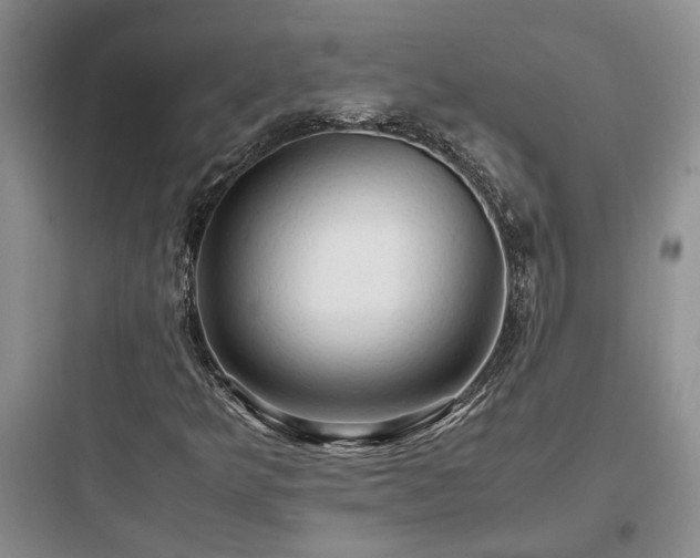 X0000097901349200803211432