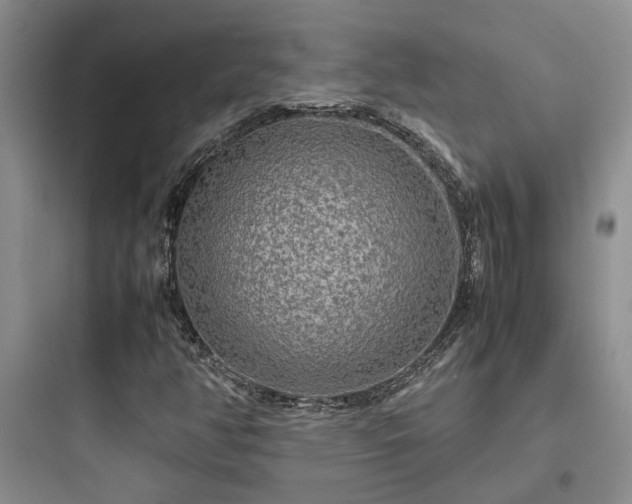 X0000097901350200803211432
