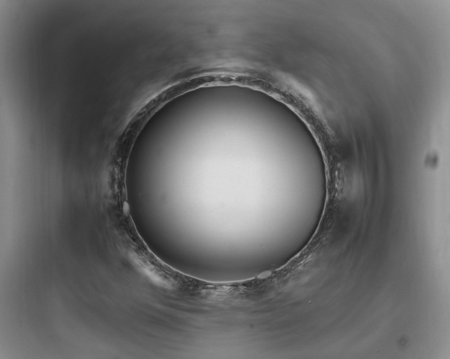 X0000097901352200803211432
