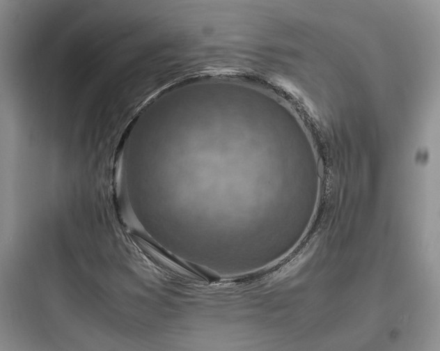 X0000097901353200803211432