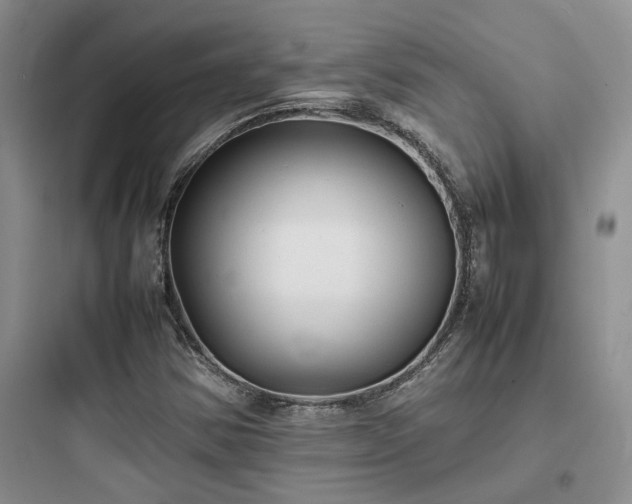 X0000097901354200803211432