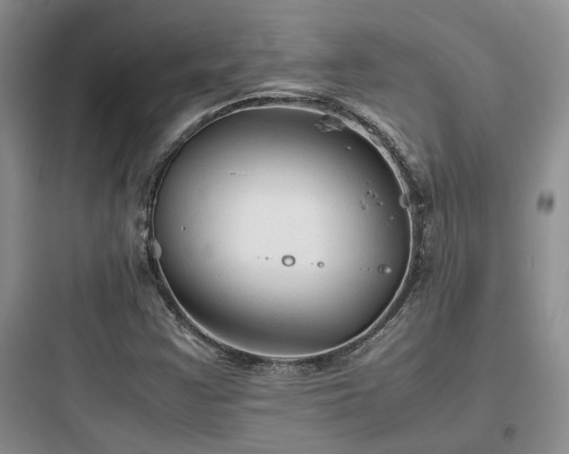 X0000097901355200803211432