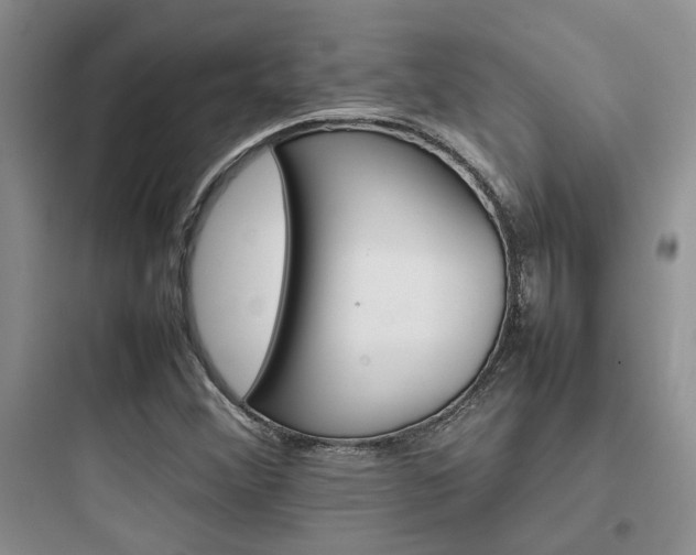 X0000097901356200803211432