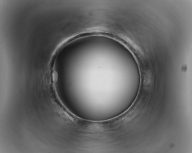 X0000097901358200803211432