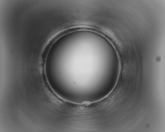 X0000097901360200803211432