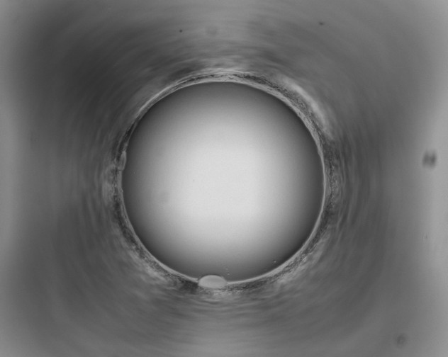 X0000097901361200803211432