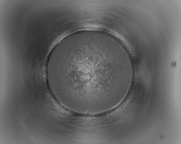 X0000097901362200803211432