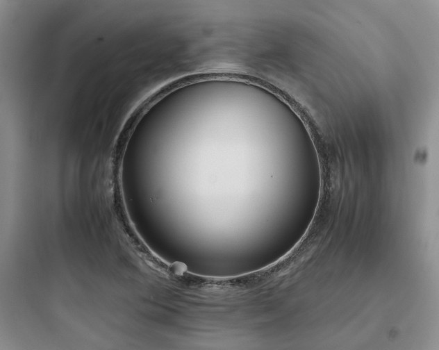 X0000097901364200803211432