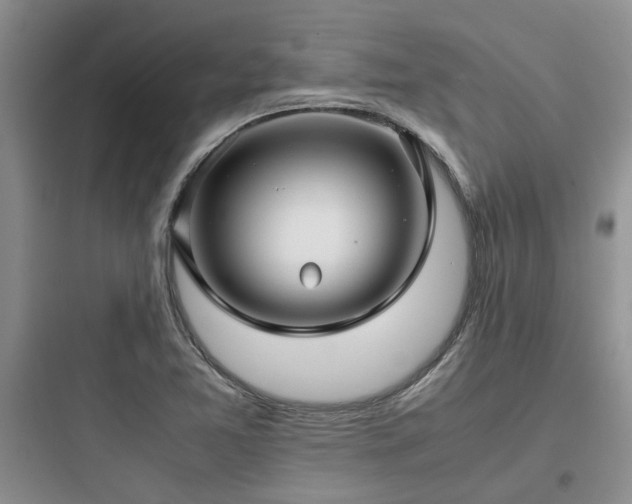 X0000097901365200803211432