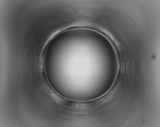 X0000097901366200803211432