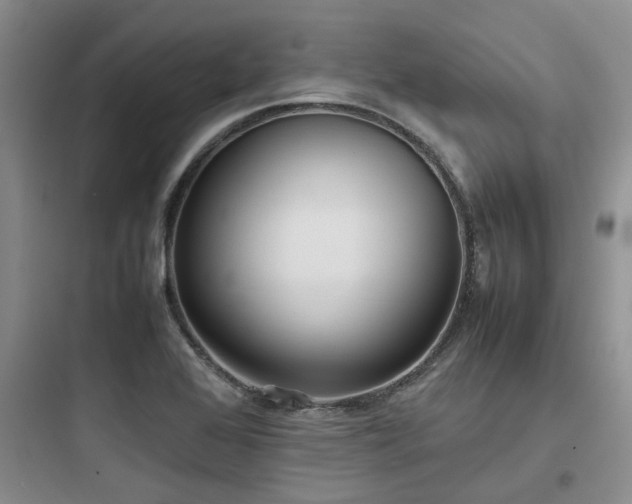X0000097901368200803211431