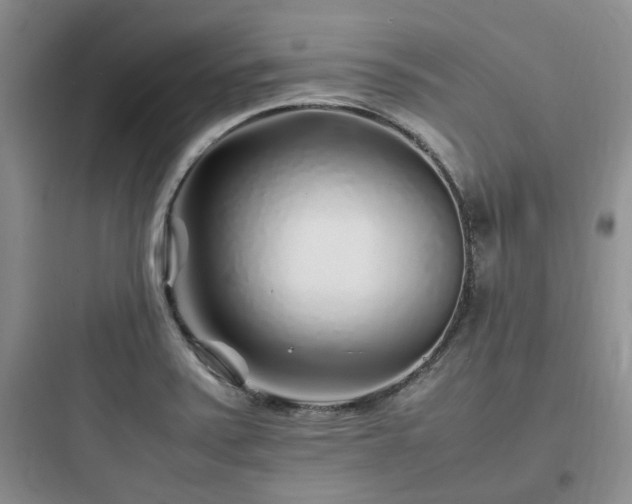 X0000097901371200803211431