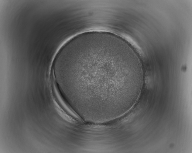 X0000097901372200803211431