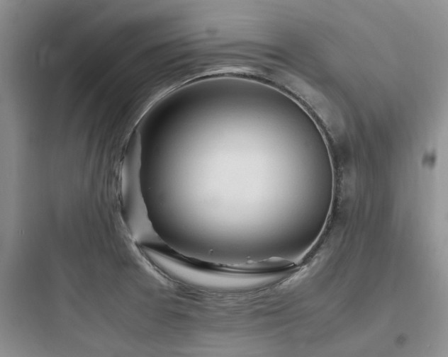 X0000097901377200803211431