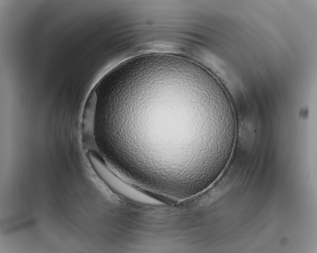 X0000097901378200803211431