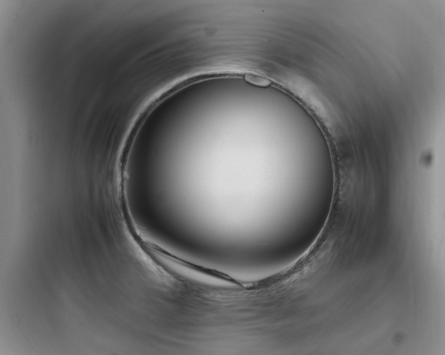 X0000097901380200803211431