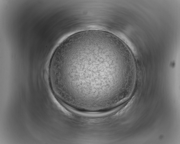 X0000097901381200803211431