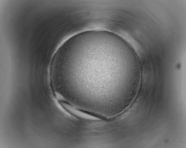 X0000097901382200803211431