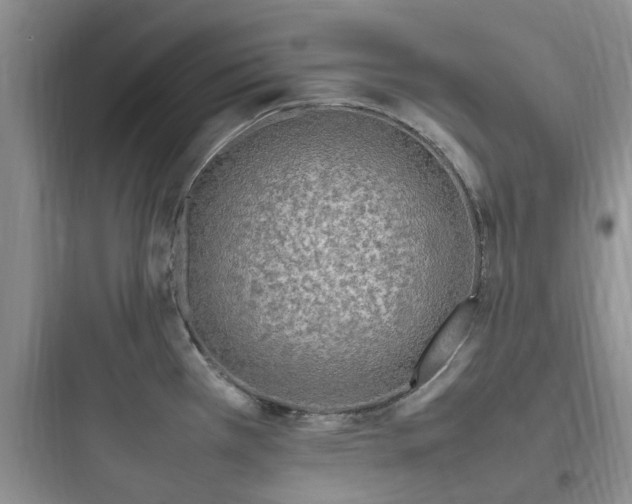 X0000097901385200803211431