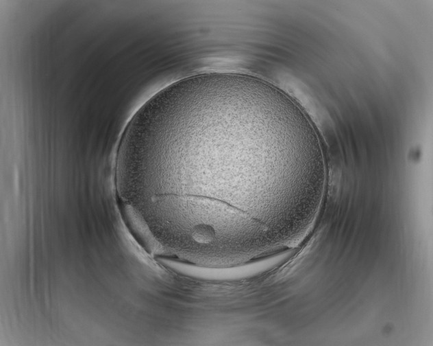 X0000097901386200803211431