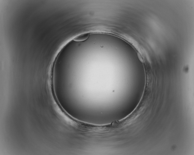 X0000097901387200803211431