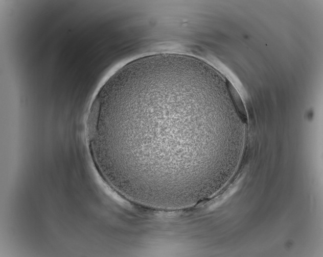 X0000097901389200803211431