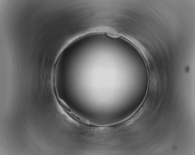 X0000097901390200803211431